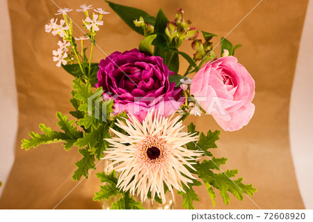 非洲菊花式斯巴達 72608920