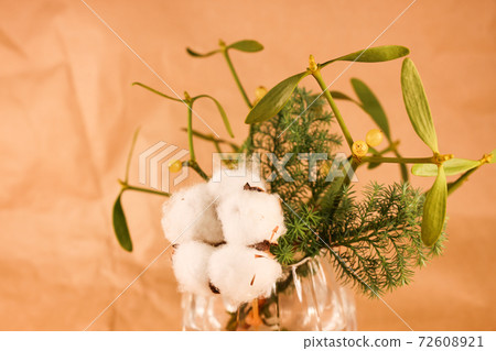 棉花和雅多利 72608921