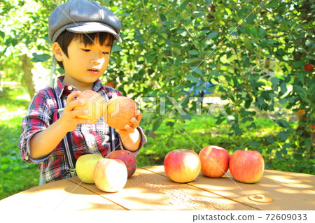 Apple fields and boys Apple fields and boys 72609033