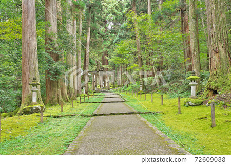 [Heisenji Hakusan Shrine] Heisenji Town, Katsuyama City, Fukui Prefecture 72609088