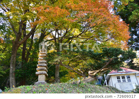 秋季山形有田紀念館＃98 72609317