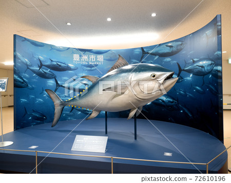 豐洲市場本町模型 72610196