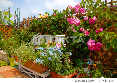 裝滿鮮花的花園的屋頂陽台 72610480