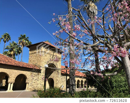 斯坦福大學校園,在晴朗的一天 斯坦福大學校園,在晴朗的一天 72611628