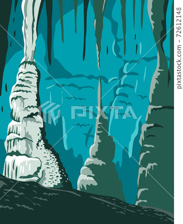 Carlsbad Caverns National Park in Guadalupe Mountains New Mexico United States WPA Poster Art Color 72612148
