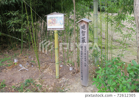 明智布什 72612305