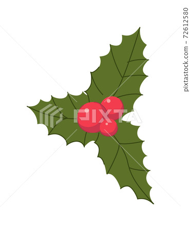 Holly branch with leaf berry decoration isolated on white Holly branch with leaf berry decoration isolated on white 72612580