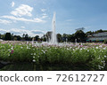 Fountain and autumn cherry blossoms 72612727