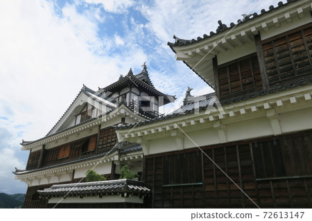 Fukuchiyama Castle Fukuchiyama Castle 72613147