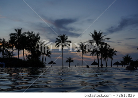 棕櫚樹和海度假村越南富角島游泳池和日落 72615829