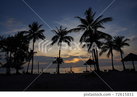 Palm Trees and Sea Resort Vietnam Phu Quoc Island Sea and Sunset Palm Trees and Sea Resort Vietnam Phu Quoc Island Sea and Sunset 72615831