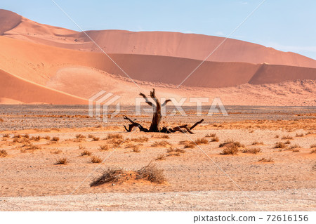 beautiful Sesriem landscape in Namibia Africa beautiful Sesriem landscape in Namibia Africa 72616156