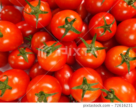 Tomato mini tomato 72616231