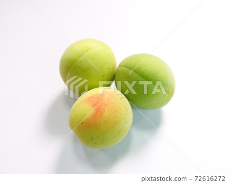 Ume Ume Ume 72616272