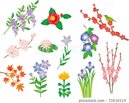 日本四季花水彩風格 72616524