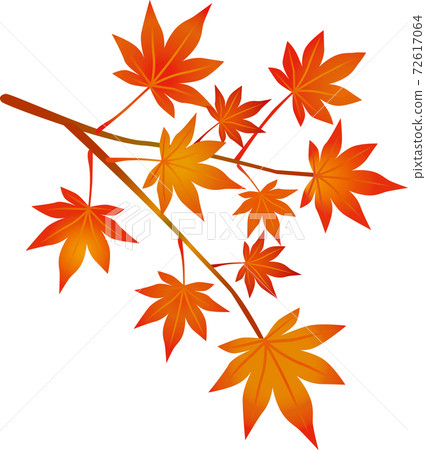 秋天的樹葉水彩風格 秋天的樹葉水彩風格 72617064
