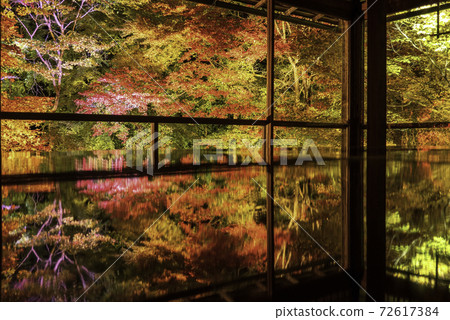 Kyoto Yase Ruriko-in desk maple autumn light up 72617384
