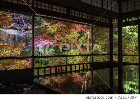 Kyoto Yase Ruriko-in desk maple autumn light up 72617397