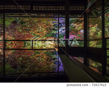 Kyoto Yase Ruriko-in desk maple autumn light up 72617422