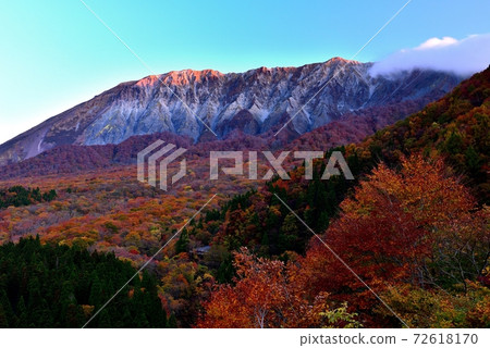 Autumn leaves of Oyama 72618170