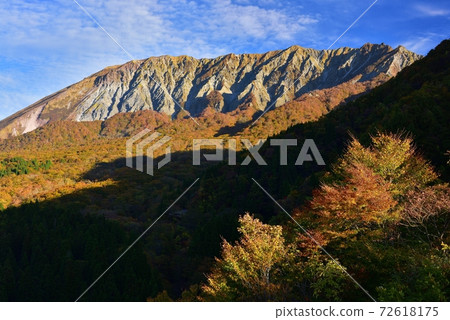 Autumn leaves of Oyama 72618175