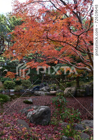 秋葉Sh崎茅崎市 72619648