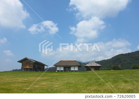 Government of Pyeongtaek Government 72620005