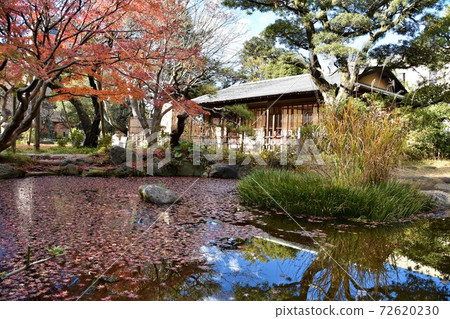 秋葉Sh崎茅崎市 72620230