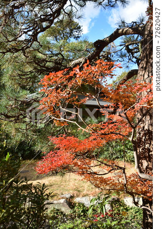 秋葉Sh崎茅崎市 72620427