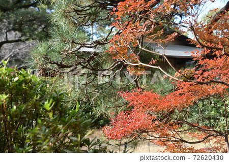 秋葉Sh崎茅崎市 72620430