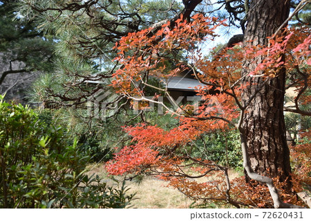 秋葉Sh崎茅崎市 72620431