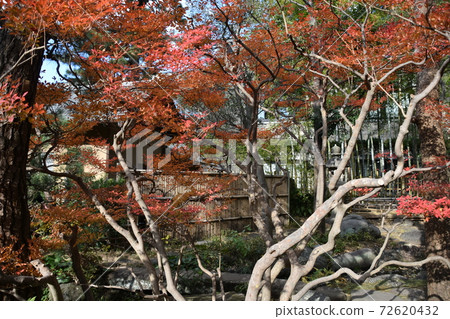 秋葉Sh崎茅崎市 72620432