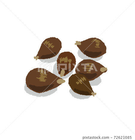 Coix seeds hand-painted 72621085