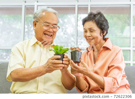 Happy senior couple is enjoying growing small houseplant at home together, for retirement hobby activity. 72622306
