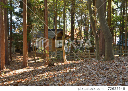 秩父/長垣步道:寶山神社奧宮 秩父/長垣步道:寶山神社奧宮 72622646