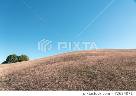 鶴卷山東公園鶴山公園 鶴卷山東公園鶴山公園 72624071