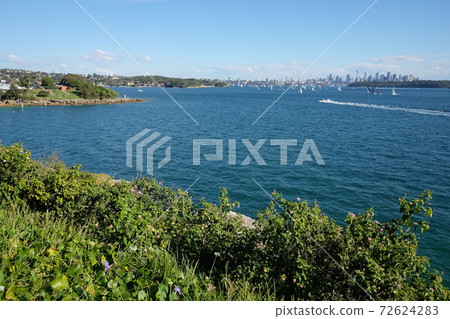 The highlight of Sydney Harbor, the most beautiful natural port in the world Watsons Bay The highlight of Sydney Harbor, the most beautiful natural port in the world Watsons Bay 72624283