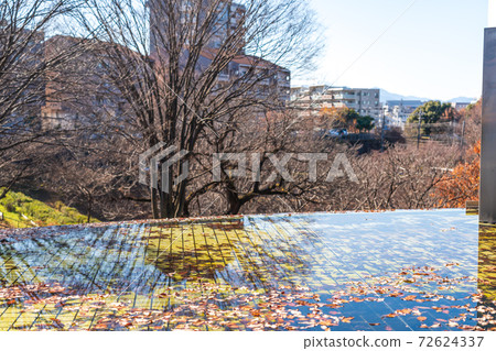 秋葉漂浮在水上公園與水冬天 72624337