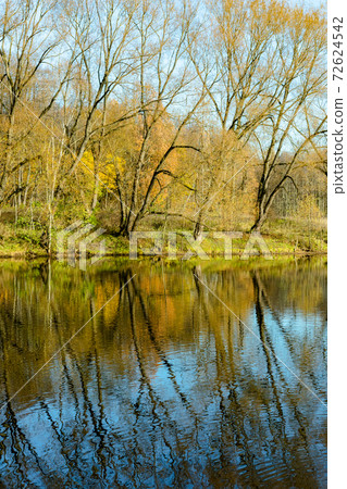 beautiful autumn landscape of pond lake river bank with golden leaves, blue sky, reflection in water beautiful autumn landscape of pond lake river bank with golden leaves, blue sky, reflection in water 72624542