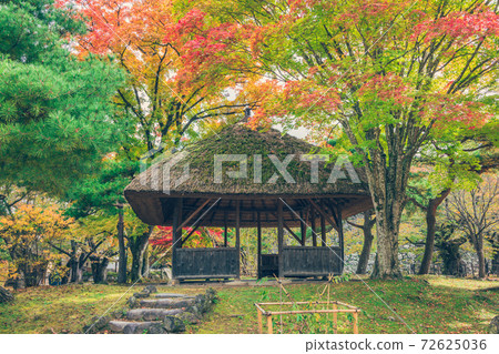 小森城堡廢墟的秋葉 小森城堡廢墟的秋葉 72625036