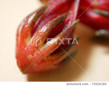 Roselle calyx (raw material for hibiscus tea) Roselle calyx (raw material for hibiscus tea) 72626160