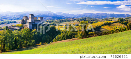 Medieval castles and wineyards of Italy - Castello di Torrechara (Parma) 72626531