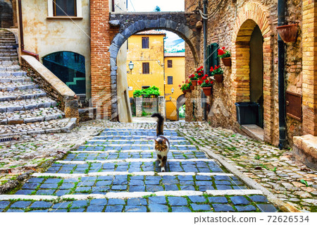 Charming floral streets of old Italian villages. Casperia in Rieti province Charming floral streets of old Italian villages. Casperia in Rieti province 72626534