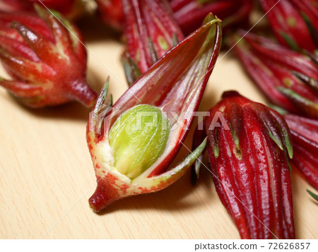 Rosell's Gaku(芙蓉茶的原料) Rosell's Gaku(芙蓉茶的原料) 72626857