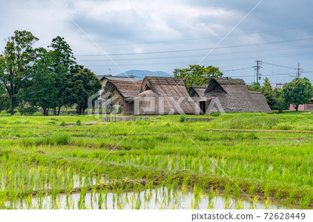 Lake remains 72628449