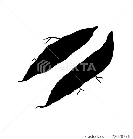 Manihot roots 72628756