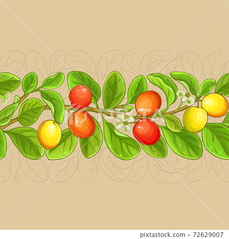 ximenia vector pattern 72629007