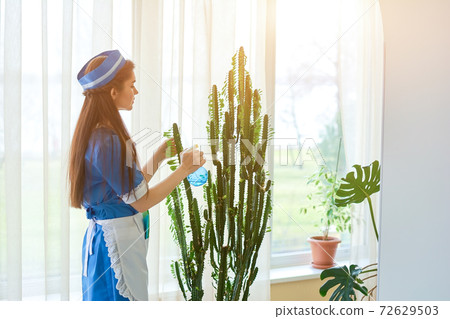 Young housemaid working. 72629503