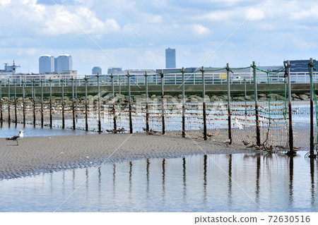 Funabashi Sanbanze Seaside Park Shigichi on tidal flats 72630516