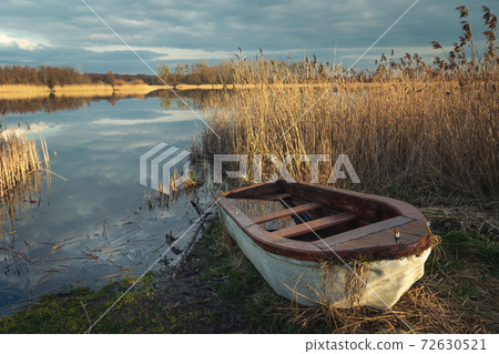 A small boat in reeds on the shore of a lake A small boat in reeds on the shore of a lake 72630521